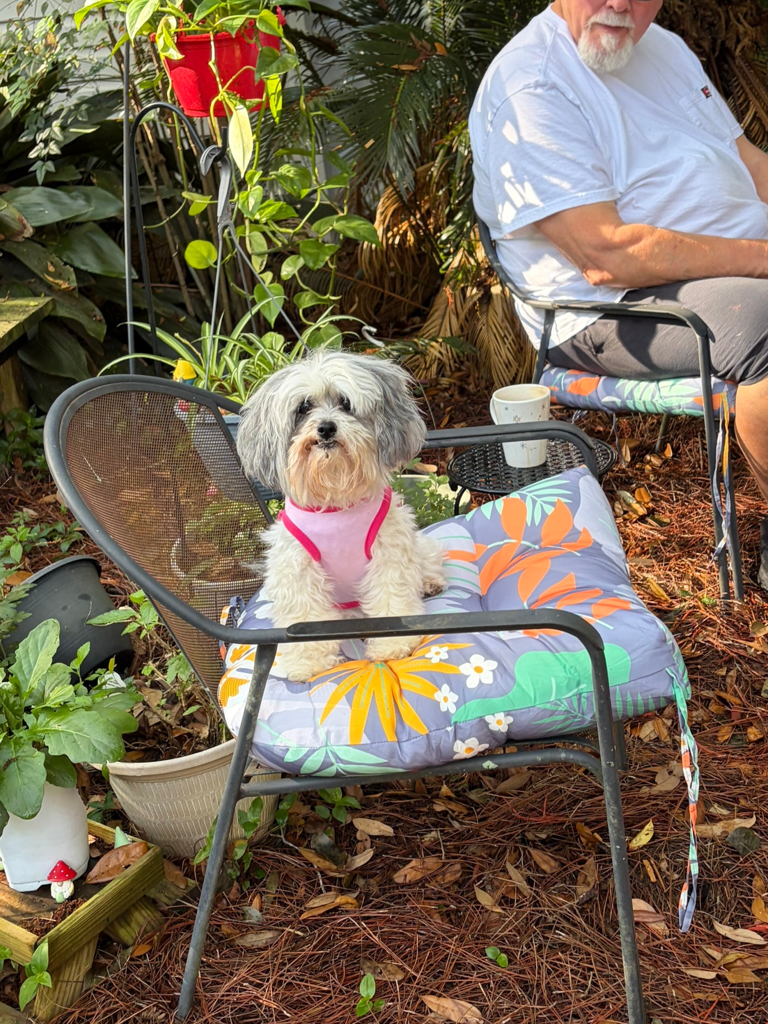 She is big sister to Louie and Tootsie and tries to keep them straight.